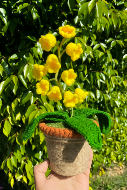 The Crochet Flower Pot
