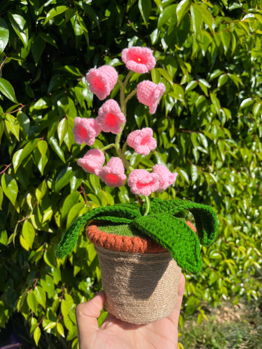 The Crochet Flower Pot